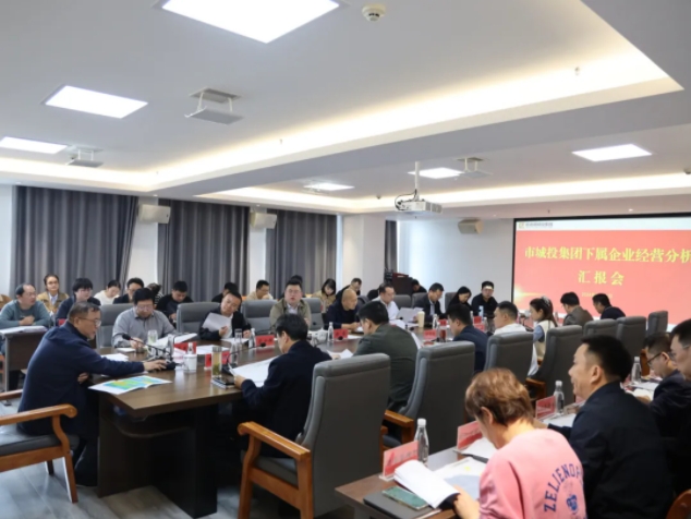 市城投集團召開下屬企業經營分(fēn)析會