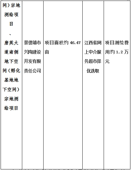 景德(dé)鎮市昌南新(xīn)區(qū)LJ1-03-A01-1地塊、瓷都大道東側中(zhōng)渡口地下空間（格蘭雲天大酒店(diàn)地下空間）、光明大道北側利民(mín)路西側地下空間（青少年宮地下空間）、規劃二路北側地下空間地塊二（加速基地地下空間）、規劃二路北側地下空間地塊一（加速基地地下空間）、景德(dé)大道南側天寶橋西側地塊、景興大道東側如意路北側地下空間(社會公(gōng)共服務(wù)